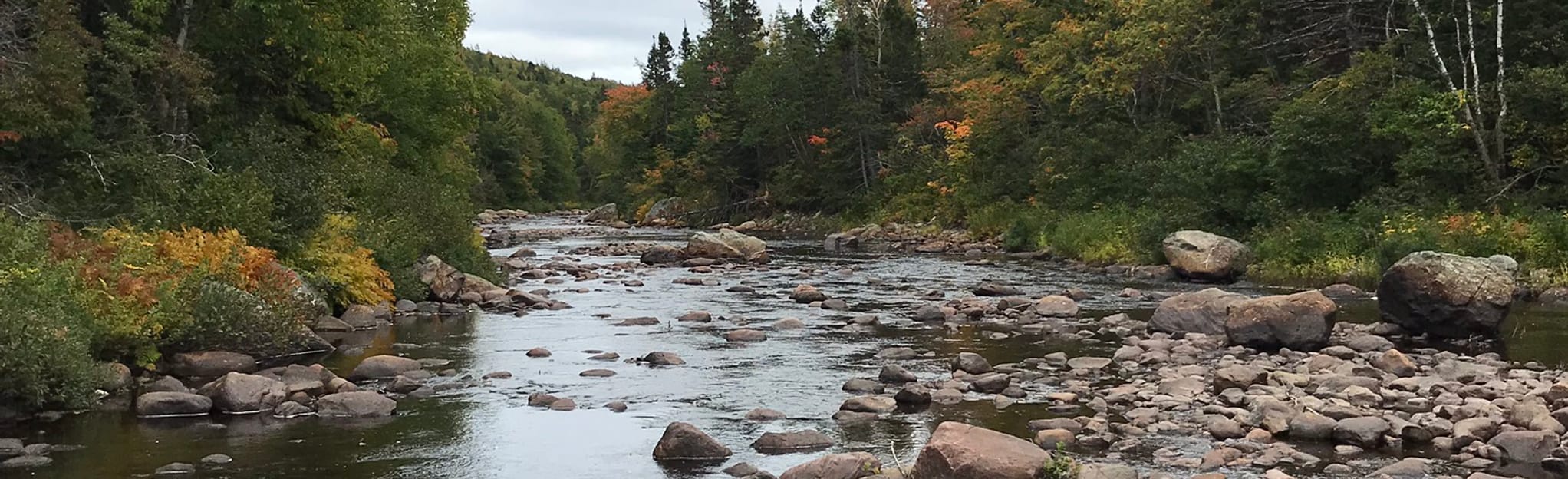 Shoal Harbour River Upper Trail 32 Reviews, Map Newfoundland and Labrador, Canada AllTrails