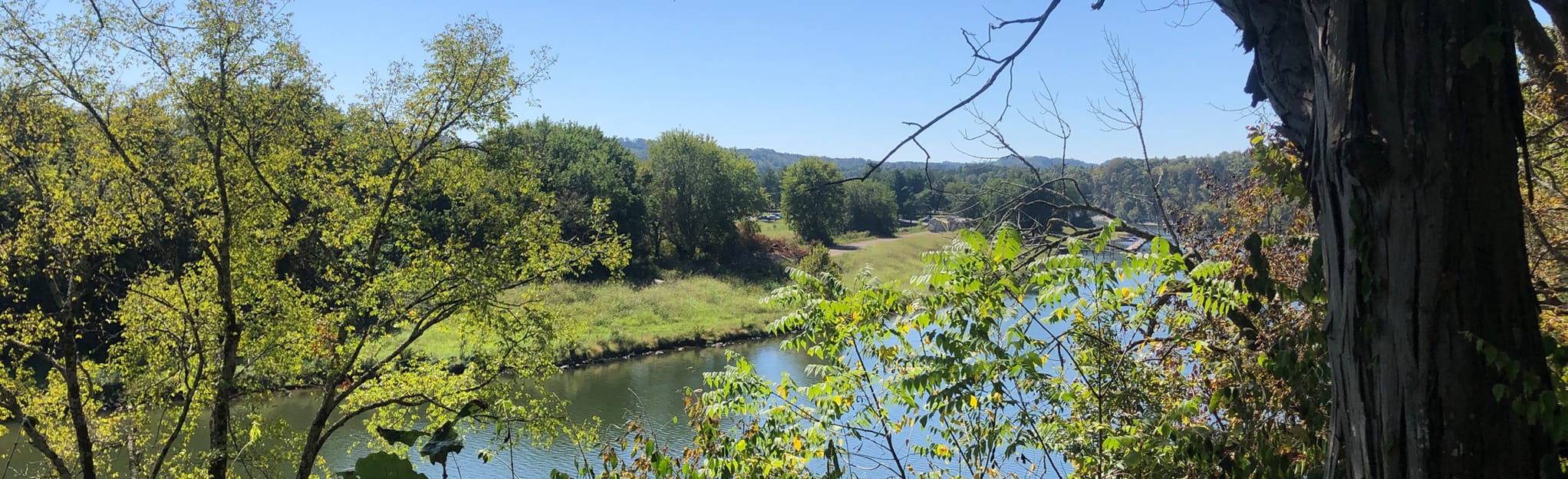 Forks of the River, Tennessee 60 Reviews, Map AllTrails