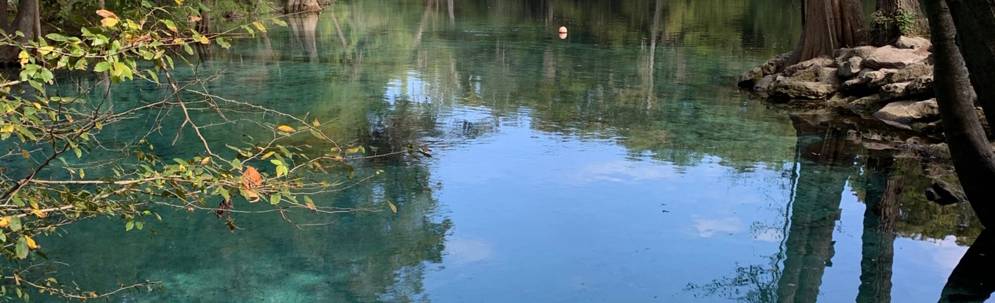 Ginnie Springs, Florida 27 Reviews, Map AllTrails