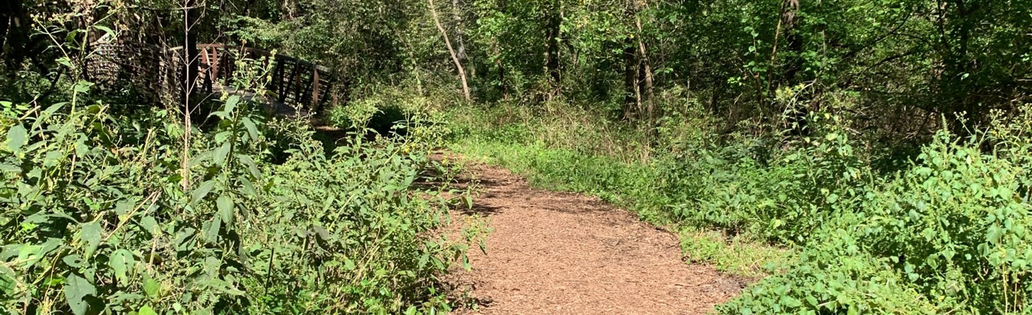 Cottonwood Trail, Kansas 24 Reviews, Map AllTrails