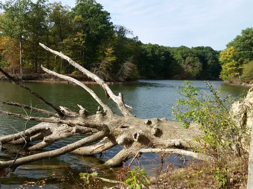 10 Best Hikes and Trails in Alum Creek State Park