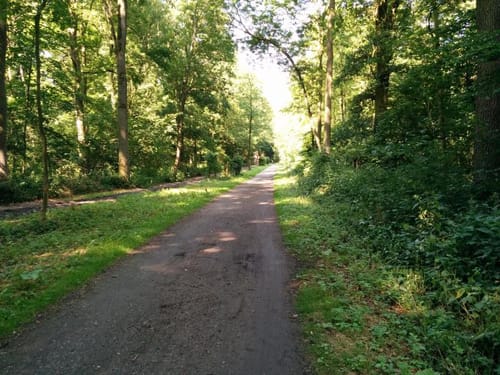 Radroute Krefeld R1
