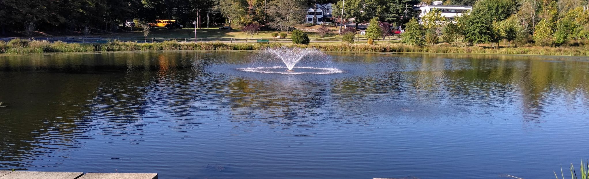 Leonard Park Marsh Trail 18 foto's New York AllTrails