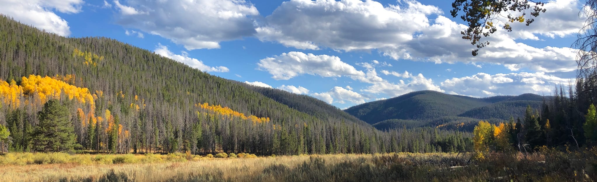 Doe Creek Trail, Colorado 508 Reviews, Map AllTrails