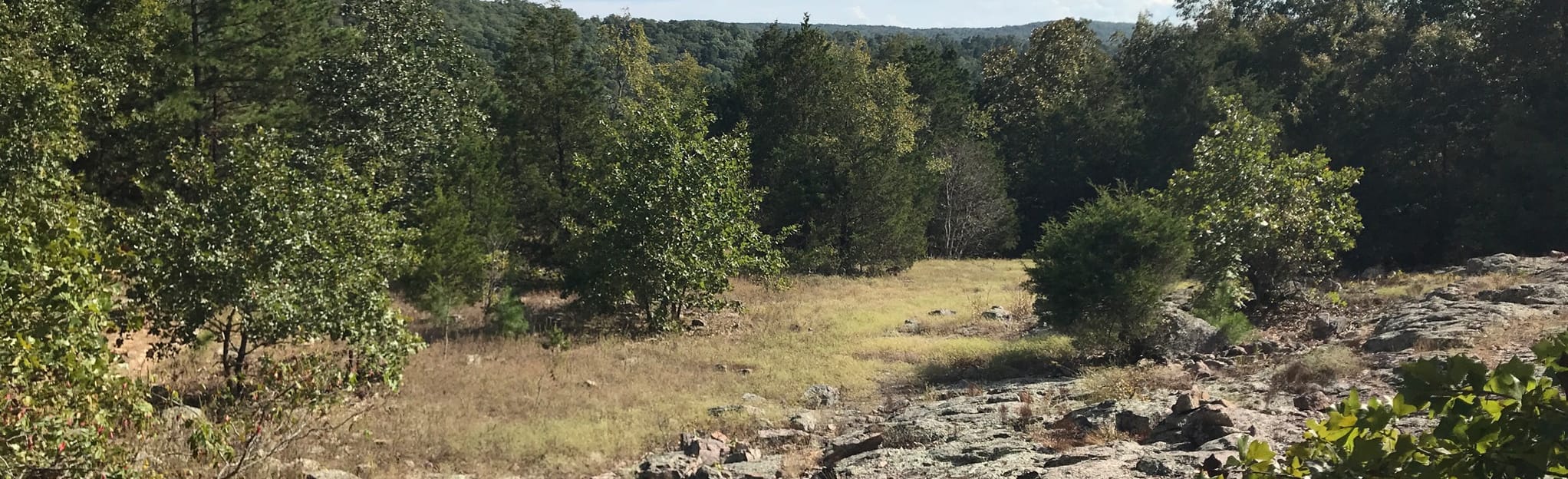 Bell Mountain Loop Trail 558 Reviews, Map Missouri AllTrails