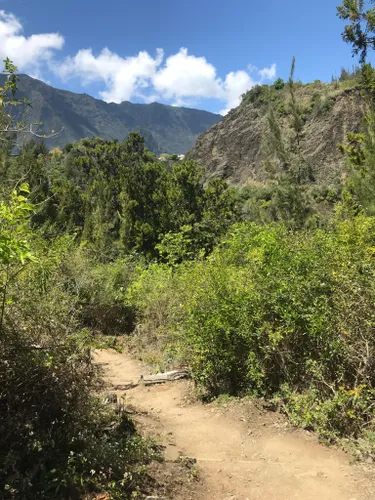 Best Trails near Cascade de Bras Rouge