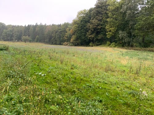 Durch das Modautal