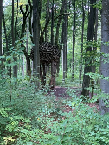 Durch das Modautal