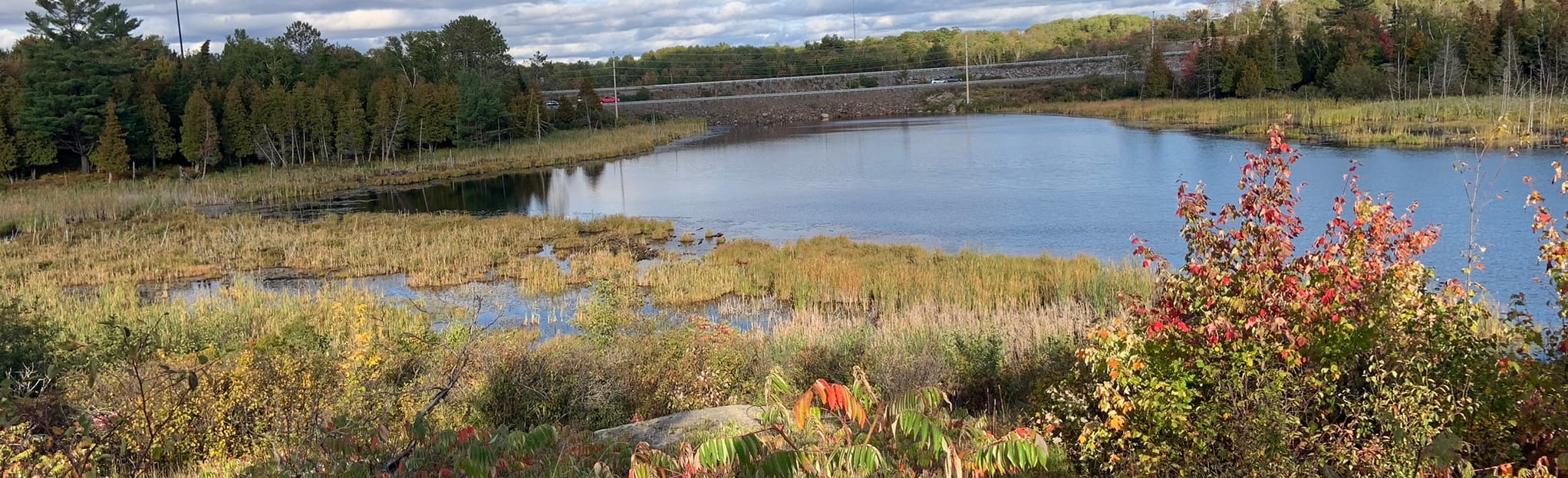 Laurier Woods Trails 230 Reviews, Map Ontario, Canada AllTrails