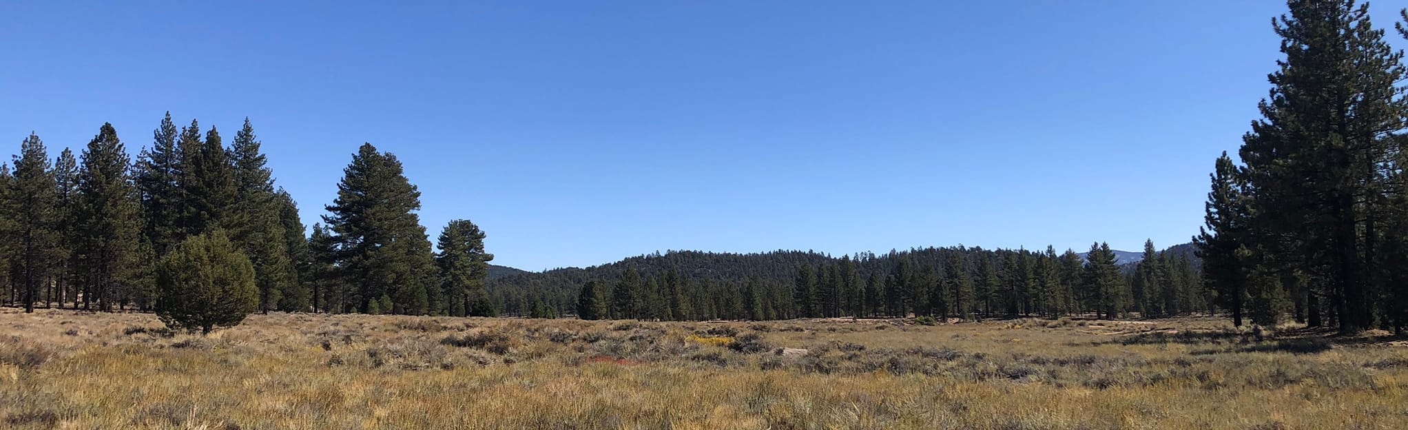 Valley Campground + 3N's Map, Guide California AllTrails