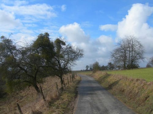 Rundweg Wincheringen