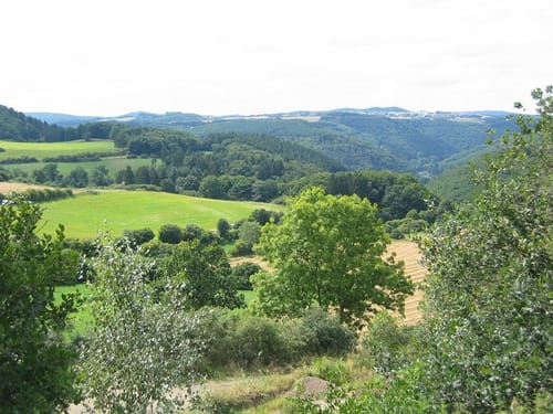 Rund um Walporzheim [CLOSED]