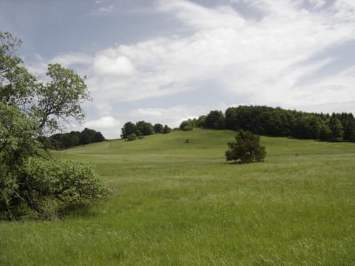 Truppenübungsplatz Wanderweg Nr. 1