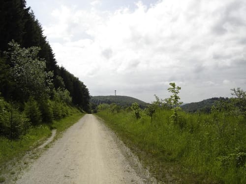 Truppenübungsplatz Wanderweg Nr. 1