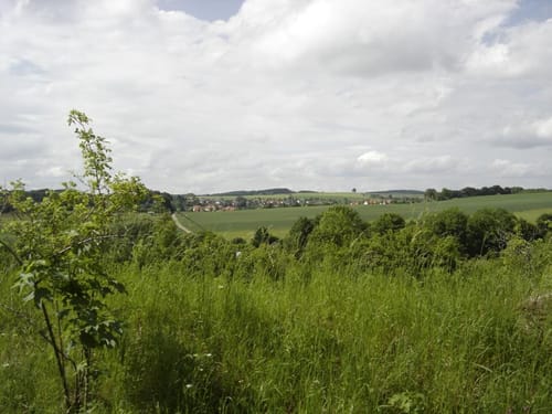 Truppenübungsplatz Wanderweg Nr. 1