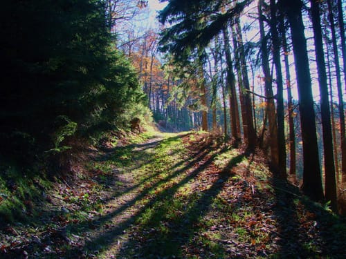 Berninghausen- Heilenbecke