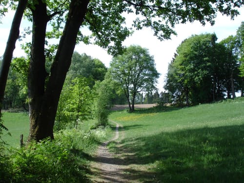 Berninghausen- Heilenbecke