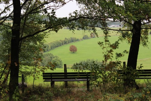 Berninghausen- Heilenbecke