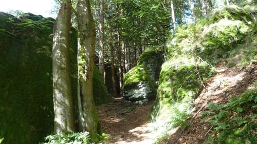 Naturlehrpfad "Gießübler Schweiz"