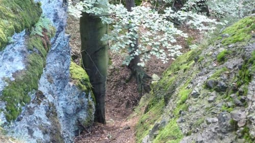 Naturlehrpfad "Gießübler Schweiz"