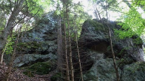 Naturlehrpfad "Gießübler Schweiz"