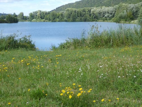 Runde um den Kratzmühlsee