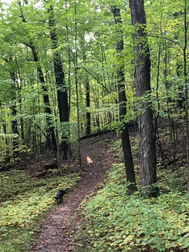 Hiking in Wisconsin's Kettle Moraine – Reading Eagle