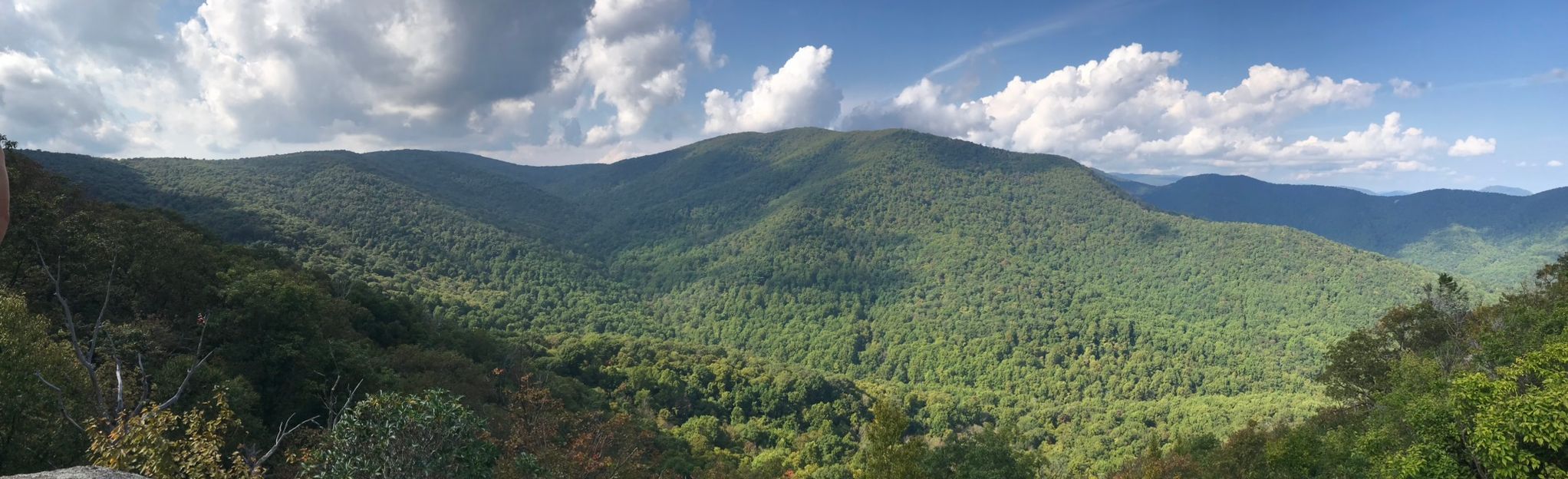 Cat Knob, Bear Church Rock, and Fork Mountain: 10 Reviews, Map ...