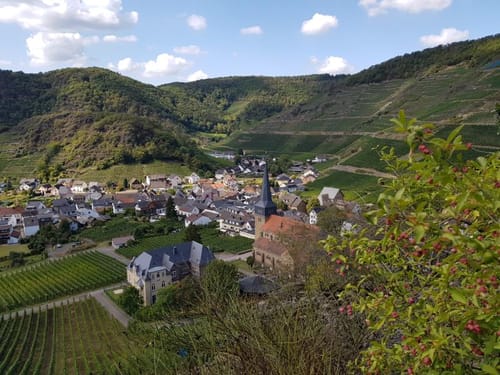 Mayschoß, Mönchberg und Berghütte Akropolis