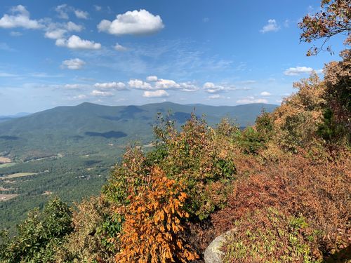 are dogs allowed at fort mountain state park