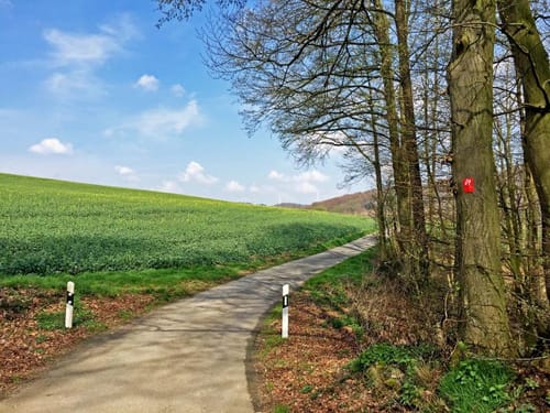 Deilbachtal Rundweg