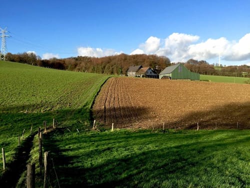 Neanderlandsteig: Düssel - Nordrath