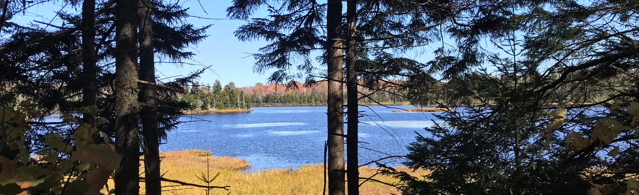 Bourne Pond via Branch Pond Trail : 108 Photos - Vermont | Randonnée ...