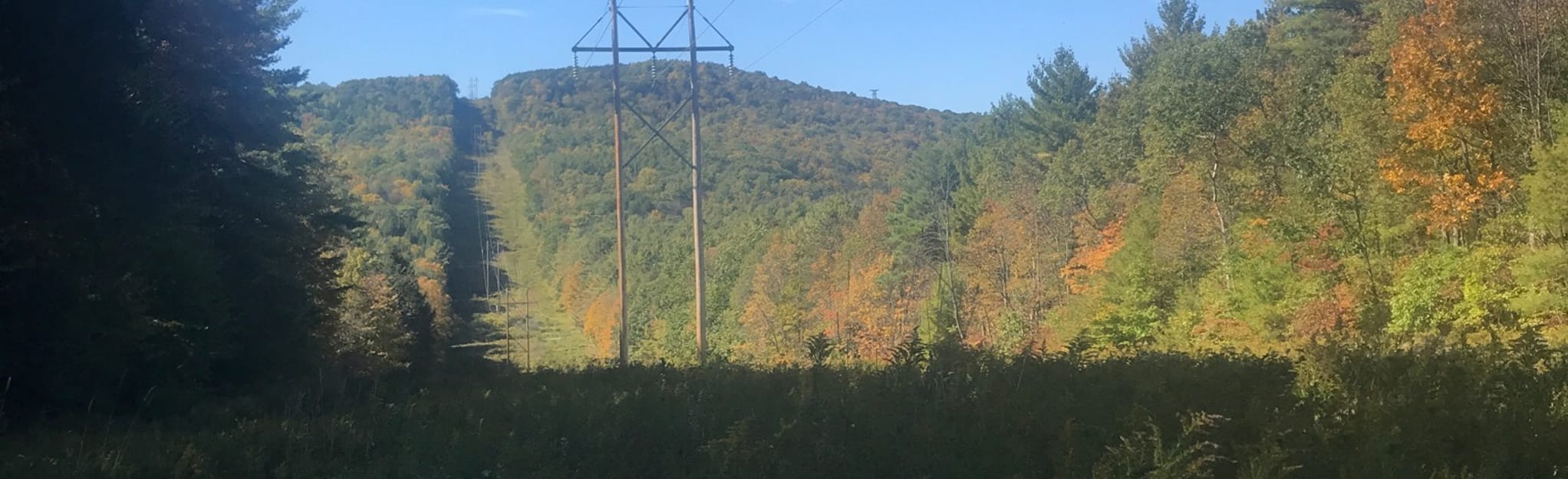 Finger Lakes Trail South Bradford and Goundry Hill State Forests, New York 19 Reviews, Map