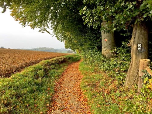 Gruiten und Schöller