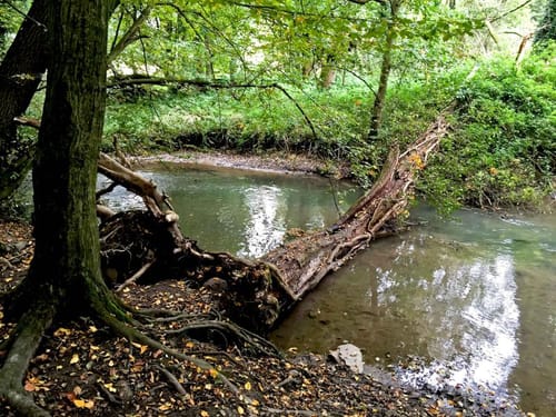 Vohwinkel nach Schöller