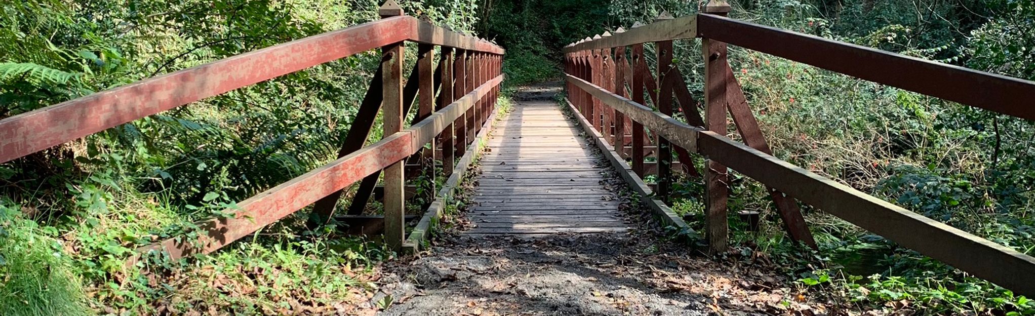 Silent Hill Nature Trail: 10 foto's - Newry, Mourne and Down, Noord ...