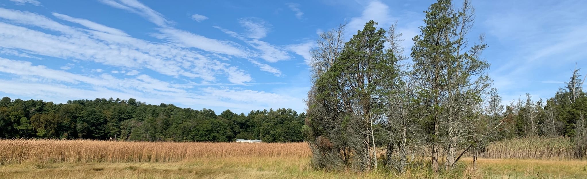 Cornhill Woodland Trail, Massachusetts 76 Reviews, Map AllTrails