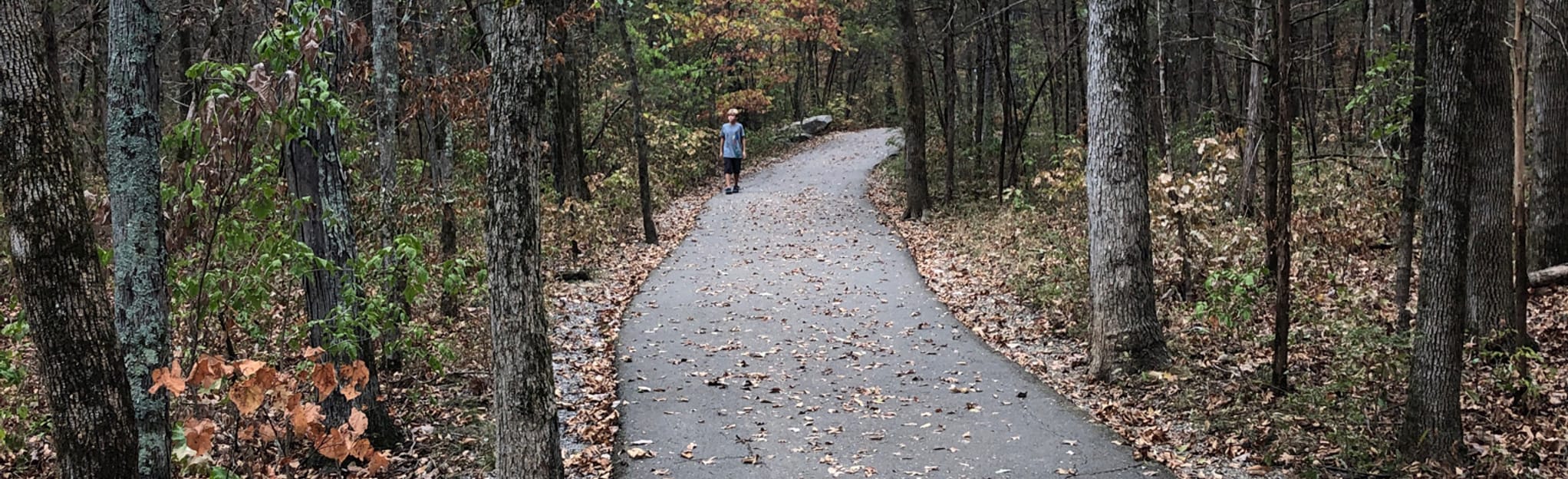Barfield Crescent Park Loop, Tennessee 421 Reviews, Map AllTrails