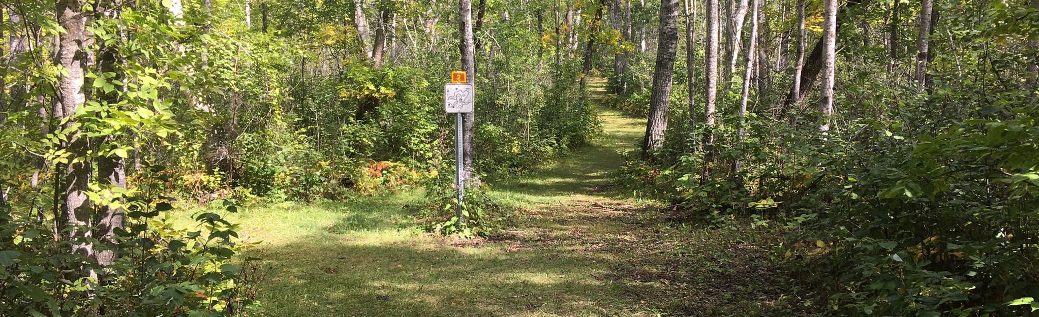 AllTrails Little Kenosee Peninsula Trail 73 Reviews, Map Saskatchewan, Canada