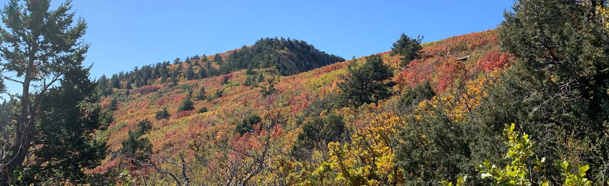 Bosque, Manzano Crest, and Cerro Blanco Trails, New Mexico 41 Reviews