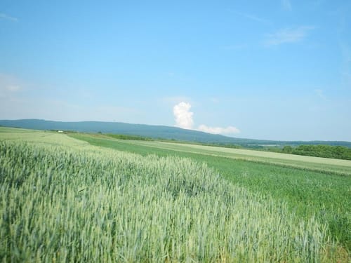 Friedberg - Nieder Erlenbach