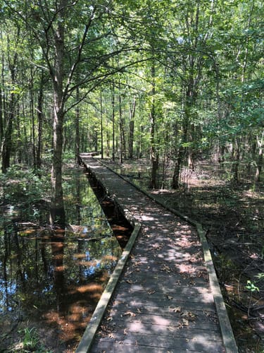 Best Hikes and Trails in Bayou Cocodrie National Wildlife Refuge