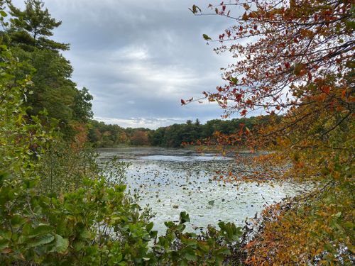 are dogs allowed at blue hills reservation