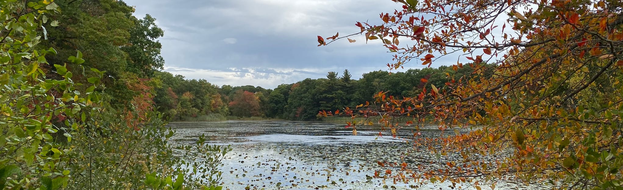 Blue Hills Skyline Trail Route - EyJidWNrZXQiOiJhc3NldHMuYWxsdHJhaWxzLmNvbSIsImtleSI6InVwbG9hZHMvcGhvdG8vaW1hZ2UvMjQzMDkzNTkvZDc4YzU0ZWVkOTAyYTI3NThlMGZmYTFmMDA3YmRhM2EuanBnIiwiZWRpdHMiOnsidG9Gb3JtYXQiOiJqcGVnIiwicmVzaXplIjp7IndpZHRoIjoyMDQ0LCJoZWlnaHQiOjYyNCwiZml0IjoiY292ZXIifSwicm90YXRlIjpudWxsLCJqcGVnIjp7InRyZWxsaXNRdWFudGlzYXRpb24iOnRydWUsIm92ZXJzaG9vdERlcmluZ2luZyI6dHJ1ZSwib3B0aW1pc2VTY2FucyI6dHJ1ZSwicXVhbnRpc2F0aW9uVGFibGUiOjN9fX0=