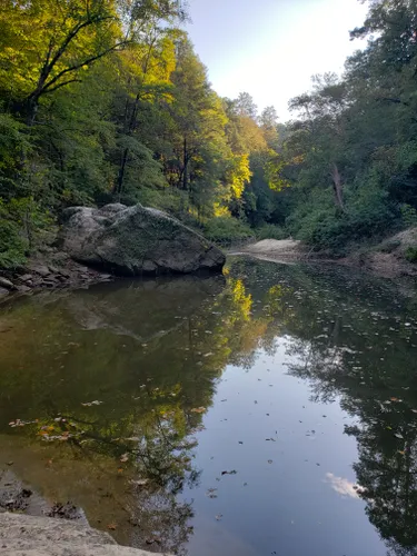 Best Waterfall Trails In William B Bankhead National Forest | AllTrails