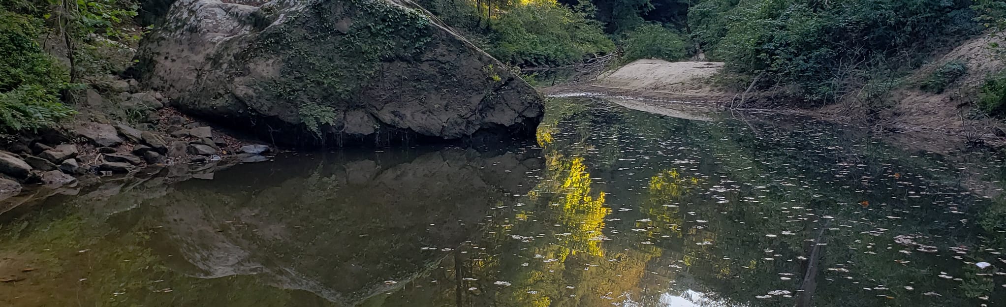 Sipsey Fork Paddle Route Cranal Rd to AL State Rd33 Map, Guide