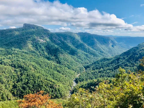 Not to brag, but Linville Gorge Wilderness is giving rugged good looks a  whole new meaning. ✨ Pull on your boots, grab a trail map and…