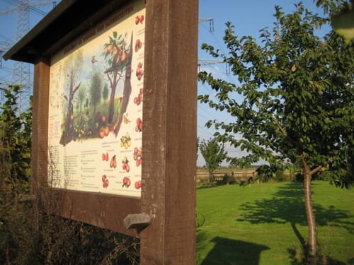 Streuobstwiesen-Tour bei Pulheim