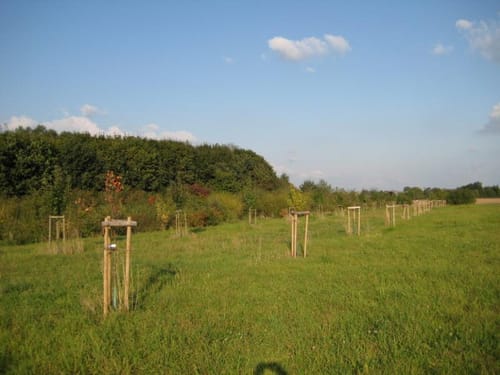 Streuobstwiesen-Tour bei Pulheim